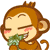 Monkey4